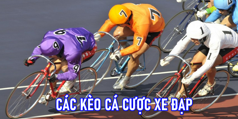 Mẹo Phân Tích Xu Hướng Trong Cá Cược Xe Đạp Tại F168 6 Những kèo cược xe đạp thường gặp trong các cuộc đua